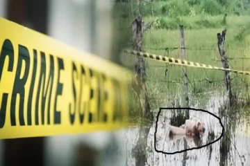 தமிழர் பகுதியில் அழுகிய நிலையில் இளம் பெண்ணின் சடலம் மீட்பு - செய்திகளின் தொகுப்பு