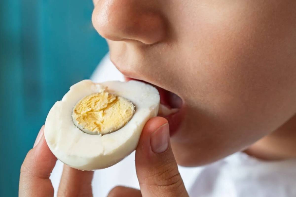 தினமும் முட்டை சாப்பிடுவதால் இத்தனை நன்மைகளா? | Are There So Many Benefits Eating Eggs Every Day