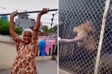 சிங்கத்தின் வாயில் தன் விரலை பறிகொடுத்த நபர்...இணையத்தில் வைரலான 80 வயது பாட்டியின் வீடியோ!  வினோத உலகம்