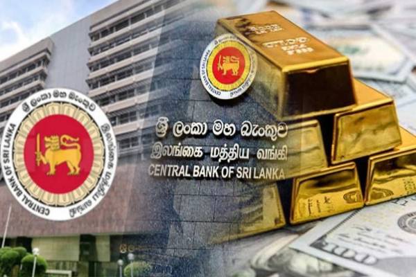 மத்திய வங்கியின் தங்க கையிருப்பு தொடர்பில் வெளியான தகவல் | Central Bank Gold Reserves