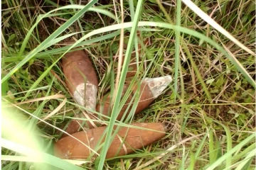 யாழில் வெடிபொருட்கள் மீட்பு