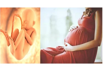 ‘எஜமான்’ பட பாணியில்... வயிற்றில் துணி வைத்து கர்ப்பிணி போல் நடித்த பெண் - மருத்துவர்கள் அதிர்ச்சி..!