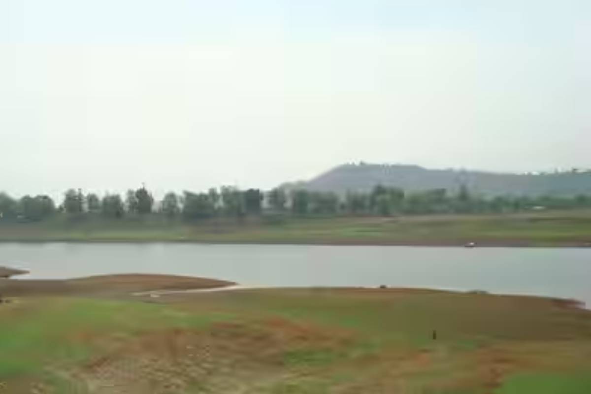 அம்பாறையின் 9 நீர்த்தேக்கங்களின் நீர்மட்டத்தில் பாரிய வீழ்ச்சி | Significant Drop Water Ampara Nine Reservoirs அம்பாறையின் 9 நீர்த்தேக்கங்களின் நீர்மட்டத்தில் பாரிய வீழ்ச்சி | Significant Drop Water Ampara Nine Reservoirs