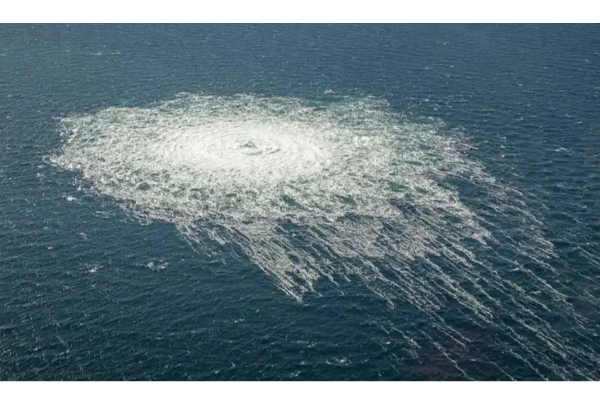 ரஷ்ய எரிவாயுக்குழாய் சேதப்படுத்தப்பட்ட விவகாரம்: உக்ரைன் நாட்டவரை நாடுகடத்த ஒப்புதல் | Italy Court Approve Extradition In Nordstream Case