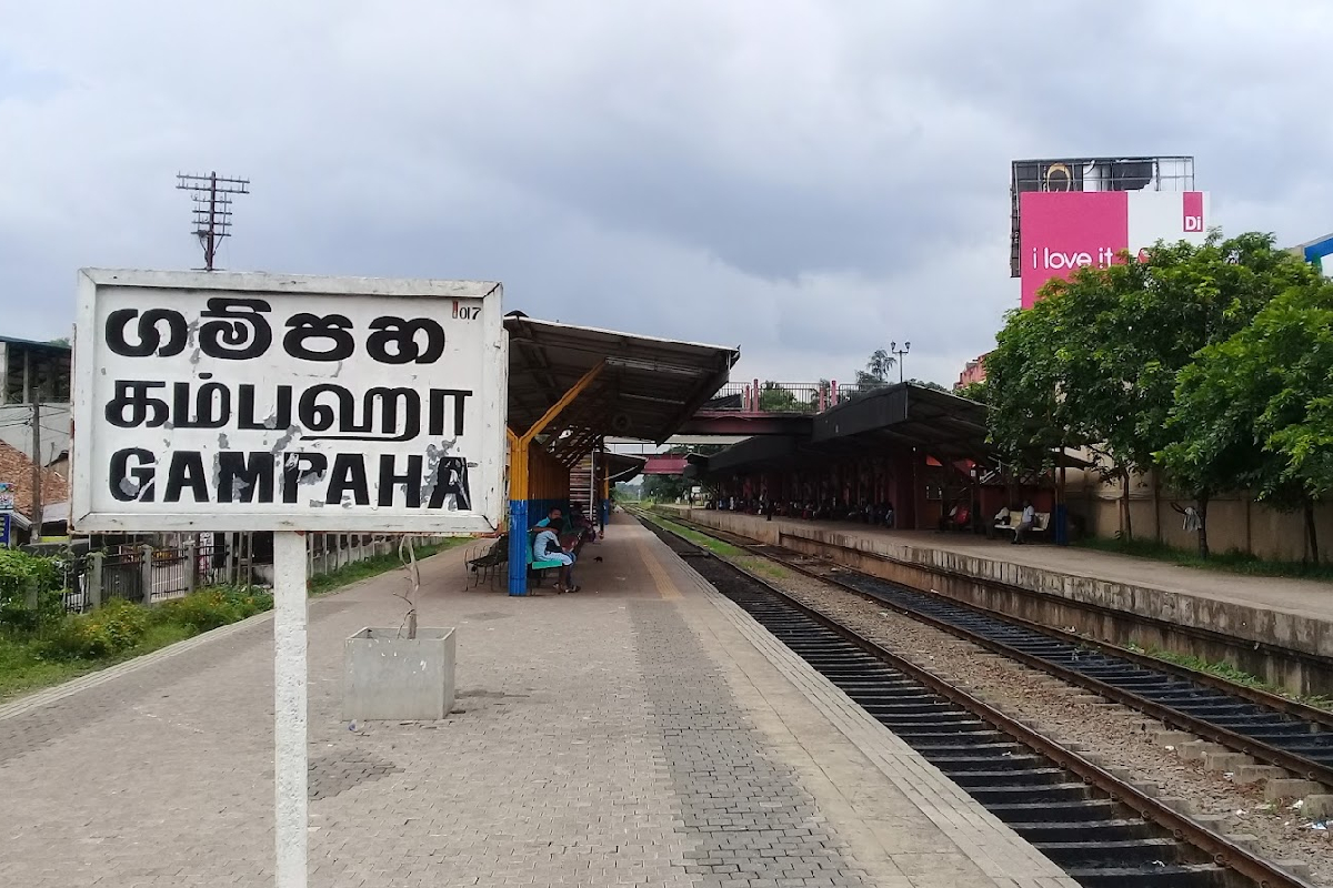 தொடருந்து பாதையில் சடலம் கண்டெடுப்பு - பிரதான வழித்தட தொடருந்து சேவைகள் தாமதம் | Train Services Delayed Body Near Gampaha Station