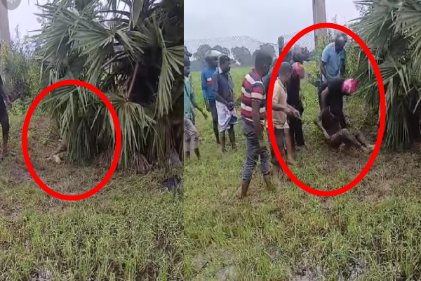 கிளிநொச்சியில் காயங்களுடன் பற்றைக்குள் குற்றுயிராக மீட்கப்பட்ட நபர்; நடந்தது என்ன? | Man Rescued Bush In Kilinochchi With Injuries கிளிநொச்சியில் காயங்களுடன் பற்றைக்குள் குற்றுயிராக மீட்கப்பட்ட நபர்; நடந்தது என்ன? | Man Rescued Bush In Kilinochchi With Injuries