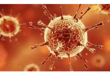 'மக்களை ஆட்டிப்படைக்கும் மற்றொரு பயங்கரமான வைரஸ்' - உலக சுகாதார அமைப்பு எச்சரிக்கை!