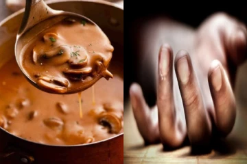 ஆசையாய் சாப்பிட்ட காளான்; ஒரே குடும்பத்தில் 3 பேர் பரிதாப பலி - பகீர்!