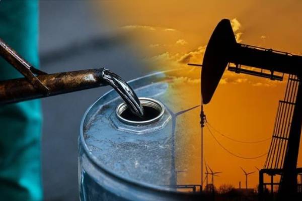 உலக சந்தையில் கச்சா எண்ணெயின் விலை நிலவரம் - ஐபிசி தமிழ்