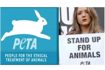 செக்ஸ் ஸ்டிரைக்கில் கலந்து கொள்ள பெண்களுக்கு அழைப்பு விடுத்த பீட்டா..!