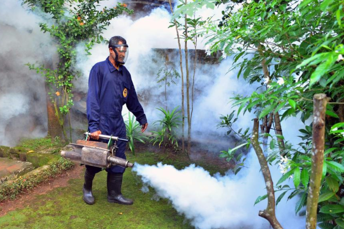 14 மாவட்டங்களுக்கு டெங்கு அபாய எச்சரிக்கை | Dengue Alert For 14 Districts 14 மாவட்டங்களுக்கு டெங்கு அபாய எச்சரிக்கை | Dengue Alert For 14 Districts