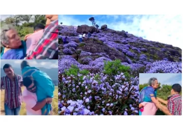 87 வயது தாயை தோளில் சுமந்து நீலக்குறிஞ்சி மலரை பார்க்க வைத்த மகன்கள்...! - நெகிழ்ச்சி வீடியோ வைரல்...!