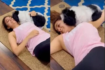 குறும்புக்கார பையன் சார் இவன்!! கீர்த்தி சுரேஷுக்கு முத்தம் கொடுத்து பாடாய்படுத்திய நாய்..