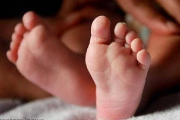 யாழில் திடீரென உயிரிழந்த 4 வயது சிறுமி