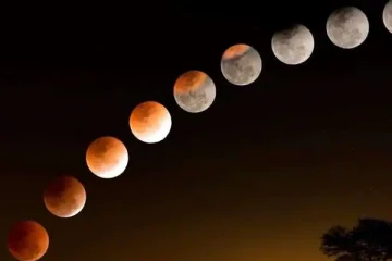 இலங்கை மக்களுக்கு நாளை கிடைக்கவுள்ள அரிய வாய்ப்பு!