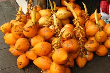 117 வீதத்தால் அதிகரித்த இலங்கையின் இளநீர் ஏற்றுமதி