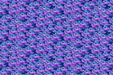 optical illusion: பறவைகள் கூட்டத்தில் இருக்கும் பட்டாம்பூச்சியை கண்டுபிடிக்க முடியுமா?