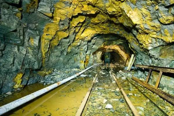 தங்கச் சுரங்கம் இல்லாத நாடு... தங்கம் கையிருப்பில் உலகிலேயே நான்காவது இடம் | Fourth Largest Gold Reserves