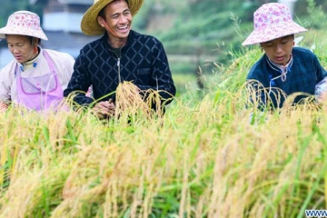 இம்முறை சீனாவில் இருந்து அரிசி