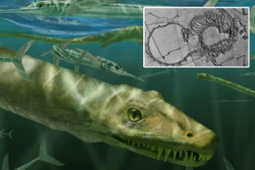 24 கோடி ஆண்டுகளுக்கு முன் வாழ்ந்த "சீன டிராகன்"! புதைபடிவத்தின் மர்மங்கள் அவிழ்ப்பு