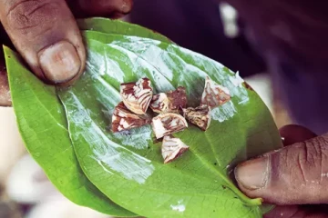 வெற்றிலை சுண்ணாம்பு பாவனை ; 4 சிறுவர்களின் பார்வை பறிபோனது; யாழ் மருத்துவர் பகீர் தகவல்