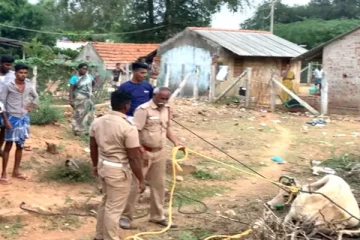 பொதுமக்களை விரட்டி விரட்டி கடித்த வெறிபிடித்த பசுமாடு!