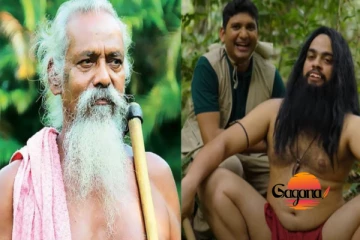 වන්නිලඇත්තන්ට බ්ලොක් ඇන්ඩ් ඩිනෝ ප්‍රතිචාර දක්වයි (PHOTO)