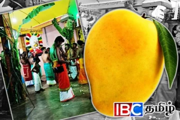 வவுனியாவில் 220,000 ரூபாய்க்கு ஏலம் போன மாம்பழம்