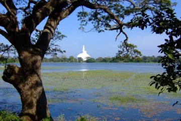 யாத்திரை சென்றவர்களுக்கு நேர்ந்த கதி