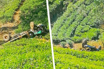 நானுஓயாவில் 200 அடி பள்ளத்தில் வீழ்ந்து லொறி விபத்து: ஒருவர் பலி