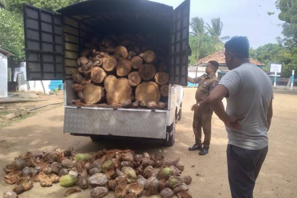 முல்லைத்தீவில் இருந்து யாழிற்கு கடத்தப்பட்ட பொருட்கள் பொலிஸாரால் மீட்பு! | Coconut Tree Trunks Smuggle From Mullaitivu Jaffna