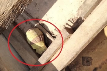 கோப்பாய் காவல் நிலையத்திற்கு அருகில் கைக்குண்டு மீட்பு (Photo)