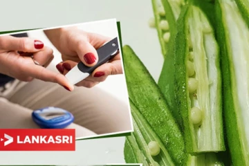 சர்க்கரை நோயாளிகள் வெண்டைக்காய் சாப்பிடலாமா?