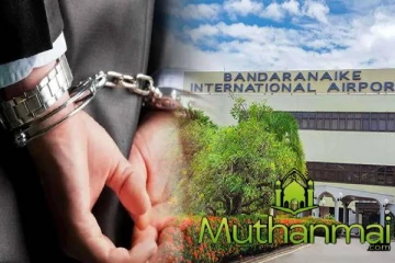 கட்டுநாயக்க விமான நிலையத்தில் வர்த்தகர் கைது