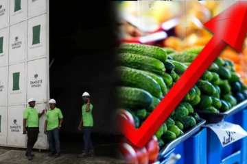 ஆப்பிரிக்காவில் உரத் தட்டுப்பாடு: உணவுப் பாதுகாப்புக்கு அச்சுறுத்தல்