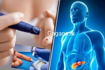 දිය වැඩියා රෝගීන්ට රතු එළියක්..මේ ගැන දැඩි අවධානයෙන් ඉන්න..