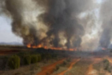 பிரேசிலில் பரவிய காட்டுத்தீ...அணைக்க போராடும் வீரர்கள்