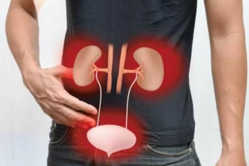 உங்கள் சிறுநீரகத்தை பாதிக்கும் முக்கியமான காரணங்கள் என்னென்ன தெரியுமா?
