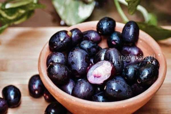 நீரிழிவு நோயை ஓட ஒட விரட்டும் ஒரே ஒரு பழம்! விதையை தூக்கி வீசிறாதீங்க | Jamun Fruit Diabetes Benefits In Tamil