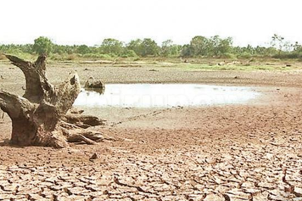 கடும் வறட்சியால் வற்றிப்போன வாவிகள்! | Dry Fields Due To Severe Drought