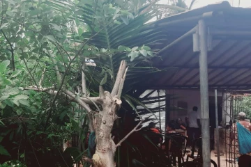 மின்கம்பியில் சிக்குண்டு பெண் பரிதாப மரணம்