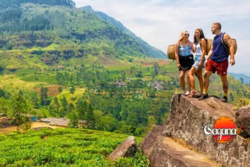 ශ්‍රී ලංකාවට සුභ පණිවිඩයක් - රටට මෙච්චර ආදායමක්