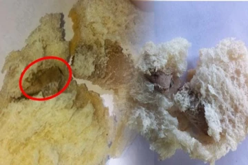 பிள்ளைகளுக்காக பாண் வாங்கிய பெண்ணுக்கு காத்திருந்த அதிர்ச்சி