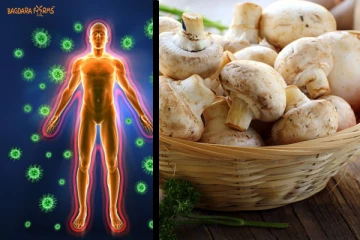 இந்த உணவுகளை கொஞ்சம் அதிகமா சாப்பிடுங்க! நோயெதிர்ப்பு சக்தியை இரு மடங்கு அதிகரிக்கும்