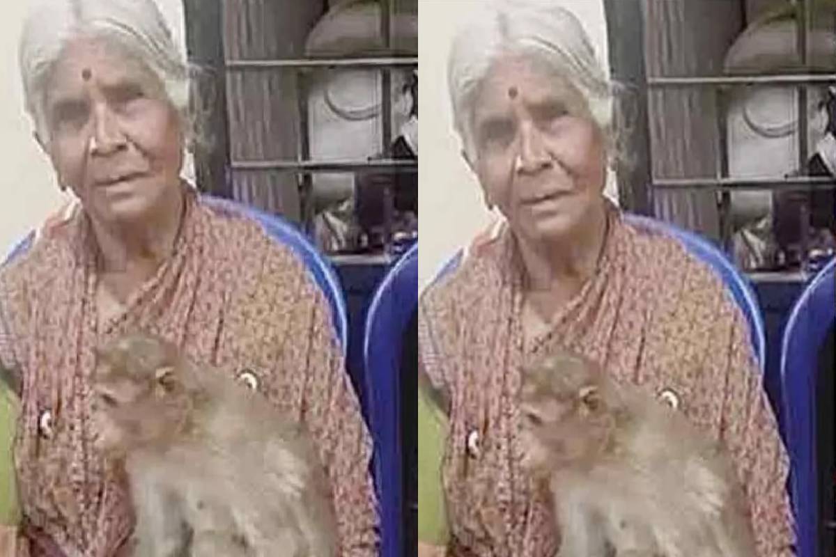 80 வயது மூதாட்யை கட்டி தழுவி அஞ்சலி செலுத்திய குரங்கு - படு வைரலாகும் காணொளி | Monkey Pays Tribute To 80 Year Old Woman