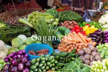 එළවලු මිලෙහි සිදු සීඝ්‍ර වෙනස.