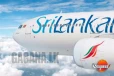 ශ්‍රී ලංකන් ගුවන් සේවයේ මගී ආදායම ඉහළට