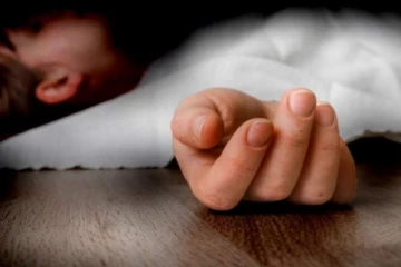 குளவி கொட்டுக்கு இலக்கான சிறுவன் பலி