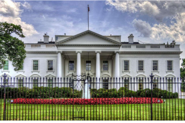 கிரின்லாந்தை கொள்வனவு செய்வது குறித்து ஆராயும் அமெரிக்கா | Potential Purchase Of Greenland