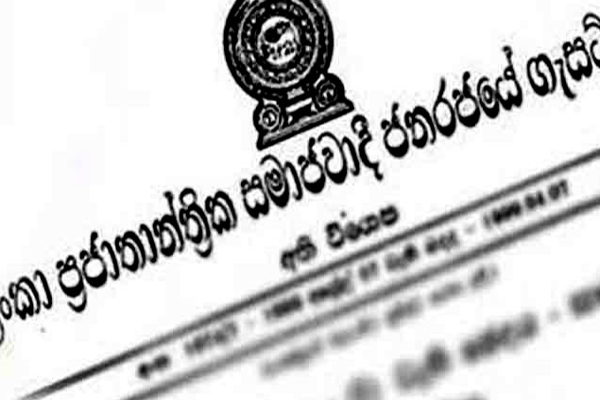 ராஜாங்க அமைச்சர்களுக்கான நியமனம் தொடர்பில் வெளியான தகவல் | State Ministers Appointment Tomorrow ராஜாங்க அமைச்சர்களுக்கான நியமனம் தொடர்பில் வெளியான தகவல் | State Ministers Appointment Tomorrow